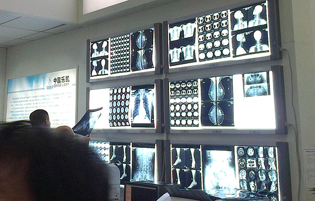 樂凱股份 樂凱股份